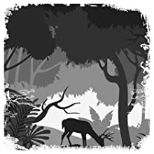 amor, vitalidad, salud, libre, libertad, éxito, alegría, transformación total, autoayuda, naturaleza