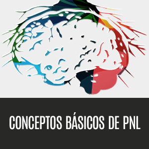 Técnicas prohibidas de Persuasión, manipulación e influencia usando patrones de lenguaje y técnicas de PNL (2a Edición) 13 nl conceptos básicos