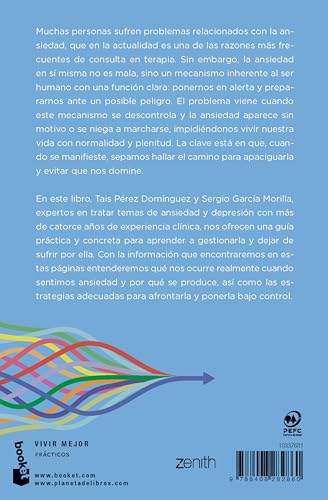 Tu ansiedad bajo control: Una guía para entenderla y no dejar que te domine (Prácticos siglo XXI) 1 1707486803 804 Tu ansiedad bajo control Una guia para entenderla y no