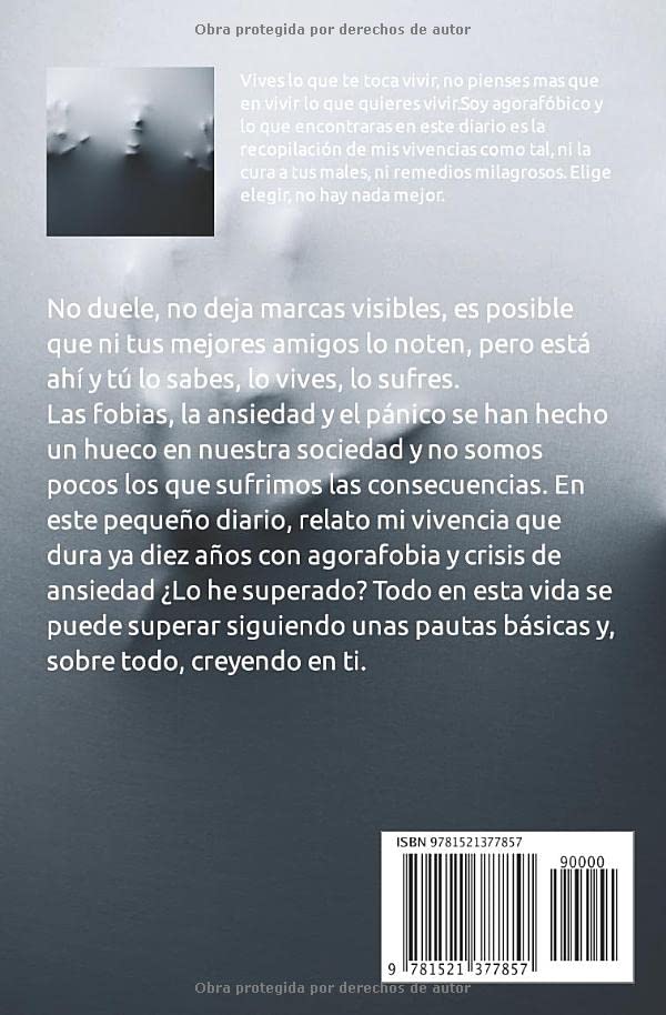 1708282326 561 Diario de un agorafobico Agorafobia ansiedad y ataques de panico