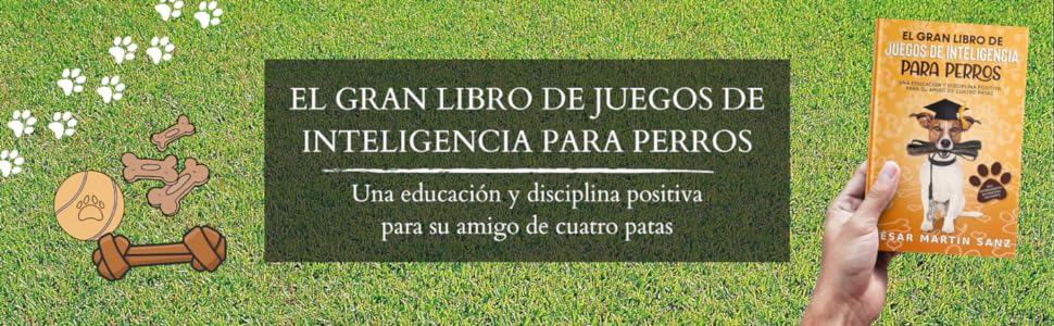 Perros, adiestramiento perros, entrenar perro, juego perro, juego de inteligencia