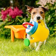 Perros, adiestramiento perros, entrenar perro, juego perro, juego de inteligencia