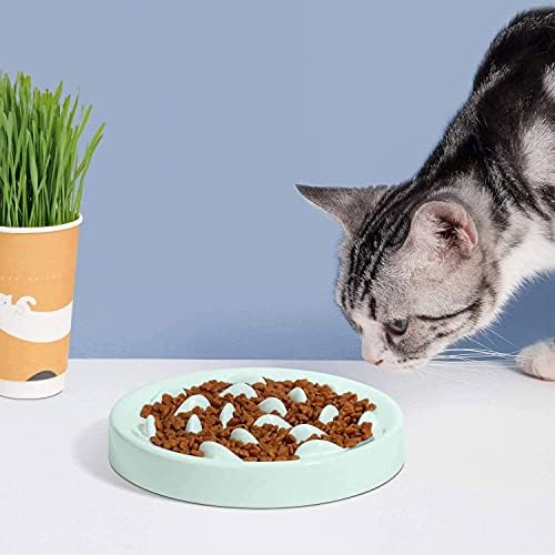 Comedero Gato Antivoracidad, Comedero Lento para Gatos y Perros, Base Antideslizante Ralentizar la Ingesta de Alimentos, Adecuado para Gatos y Perros Pequeños 6 1708408944 512 Comedero Gato Antivoracidad Comedero Lento para Gatos y Perros Base