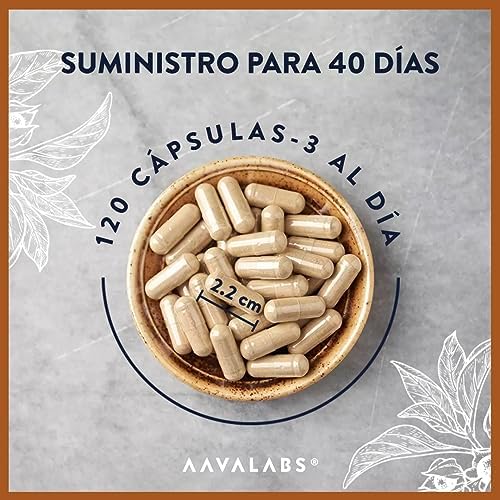 Ashwagandha KSM-66 1000mg (Extracto 10:1 Equivalente a 10,000mg por Porción) - 5% de Withanólidos - con Magnesio, Manganeso, Zinc y Vitamina B6, B1-120 Aswaghanda Capsulas 3 1708425906 937 Ashwagandha KSM 66 1000mg Extracto 101 Equivalente a 10000mg por Porcion