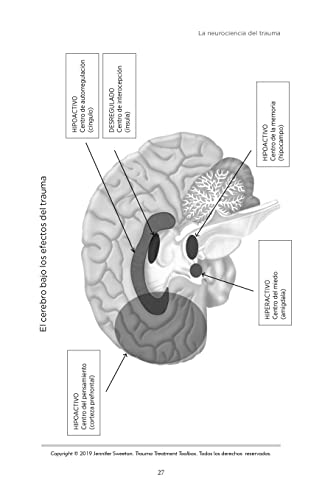 1708430648 394 Tratar El Trauma 165 tecnicas y consejos para avanzar en