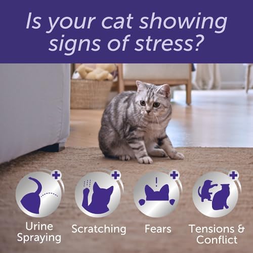Feliway Difusor óptimo y Recarga de 30 días, la Mejor solución para aliviar la ansiedad de los Gatos, el conflicto de los Gatos y el estrés en el hogar 1 1708495564 872 Feliway Difusor optimo y Recarga de 30 dias la Mejor