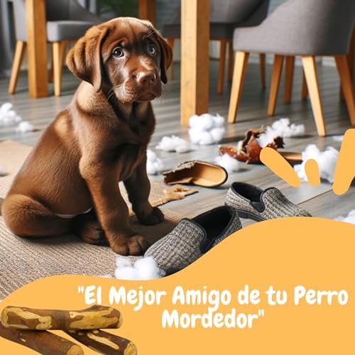 Pack de 3,Mordedor de Madera de Olivo para Perros - Juguete Dental Seguro, Ideal para Aliviar la Ansiedad y el Cuidado Dental de tu Mascota/Aceite de Oliva Virgen Extra 2 1708503153 97 Pack de 3Mordedor de Madera de Olivo para Perros