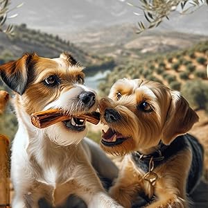 Pack de 3,Mordedor de Madera de Olivo para Perros - Juguete Dental Seguro, Ideal para Aliviar la Ansiedad y el Cuidado Dental de tu Mascota/Aceite de Oliva Virgen Extra 10 mordedor para perros cachorros denticion