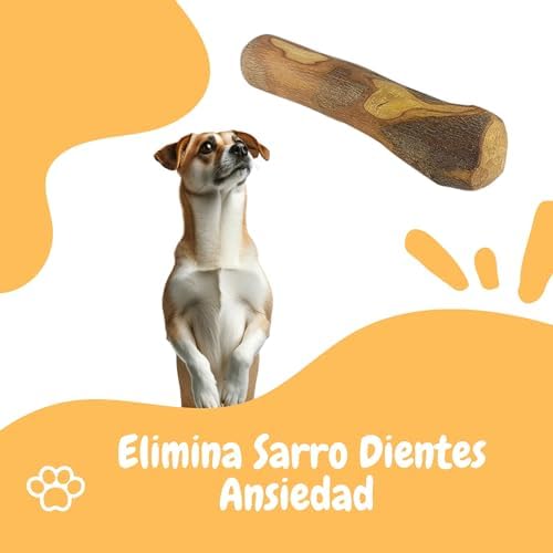 Pack de 3,Mordedor de Madera de Olivo para Perros - Juguete Dental Seguro, Ideal para Aliviar la Ansiedad y el Cuidado Dental de tu Mascota/Aceite de Oliva Virgen Extra 5 1708503154 622 Pack de 3Mordedor de Madera de Olivo para Perros