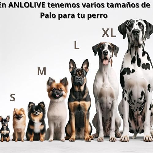 Pack de 3,Mordedor de Madera de Olivo para Perros - Juguete Dental Seguro, Ideal para Aliviar la Ansiedad y el Cuidado Dental de tu Mascota/Aceite de Oliva Virgen Extra 3 1708503154 882 Pack de 3Mordedor de Madera de Olivo para Perros