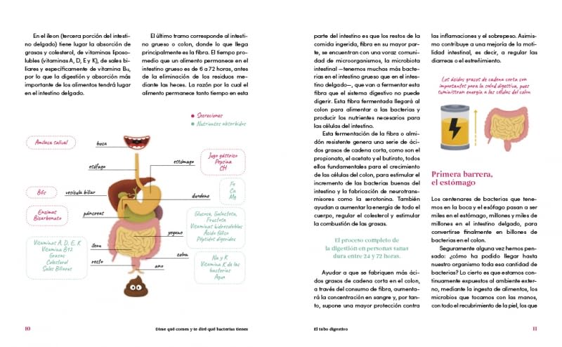 Dime qué comes y te diré qué bacterias tienes: El intestino, nuestro segundo cerebro(Alimentación saludable) (Cocina saludable) 1 1708790080 743 Dime que comes y te dire que bacterias tienes El