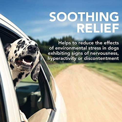 Vet's Best Suplementos para Perros calmantes de Calma Confort - Promueve la relajación y el Comportamiento equilibrado 132 g 2 1708870833 33 Vets Best Suplementos para Perros calmantes de Calma Confort