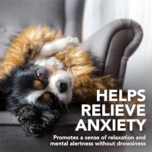 Vet's Best Suplementos para Perros calmantes de Calma Confort - Promueve la relajación y el Comportamiento equilibrado 132 g 22 comfort