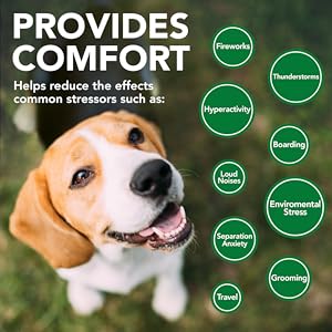 Vet's Best Suplementos para Perros calmantes de Calma Confort - Promueve la relajación y el Comportamiento equilibrado 132 g 24 comfort