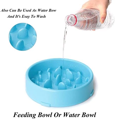 Txyk Lento Cuenco de Perro de Alimentación Comedero Antivoracidad para Perros de Comida para Mascotas - Slow Down Eating, Azul 20 CM 3 1709301538 372 Txyk Lento Cuenco de Perro de Alimentacion Comedero Antivoracidad para