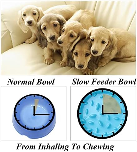 Txyk Lento Cuenco de Perro de Alimentación Comedero Antivoracidad para Perros de Comida para Mascotas - Slow Down Eating, Azul 20 CM 5 1709301538 660 Txyk Lento Cuenco de Perro de Alimentacion Comedero Antivoracidad para
