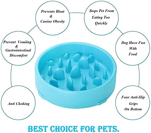 Txyk Lento Cuenco de Perro de Alimentación Comedero Antivoracidad para Perros de Comida para Mascotas - Slow Down Eating, Azul 20 CM 2 1709301538 870 Txyk Lento Cuenco de Perro de Alimentacion Comedero Antivoracidad para