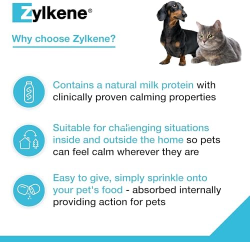 1709898933 661 Zylkene Suplementos calmantes para gatos y perros de hasta 10