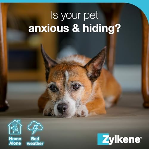 1709898933 677 Zylkene Suplementos calmantes para gatos y perros de hasta 10