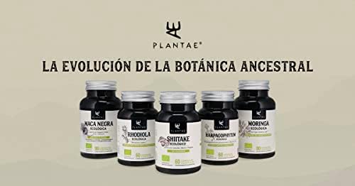1709961102 329 RHODIOLA ROSEA BIO Plantae 60 capsulas vegetales