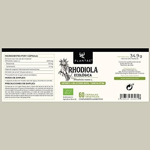 1709961102 417 RHODIOLA ROSEA BIO Plantae 60 capsulas vegetales