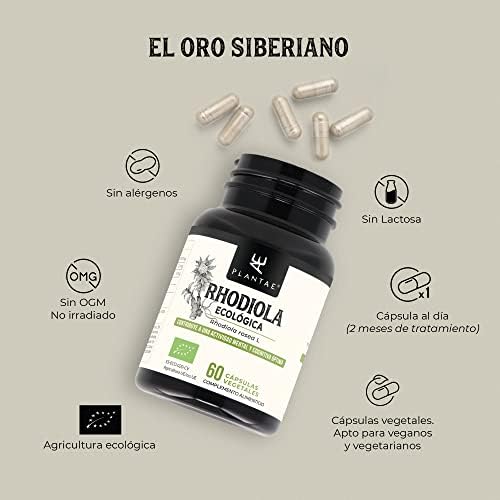 1709961102 808 RHODIOLA ROSEA BIO Plantae 60 capsulas vegetales