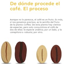 Café arábica grano