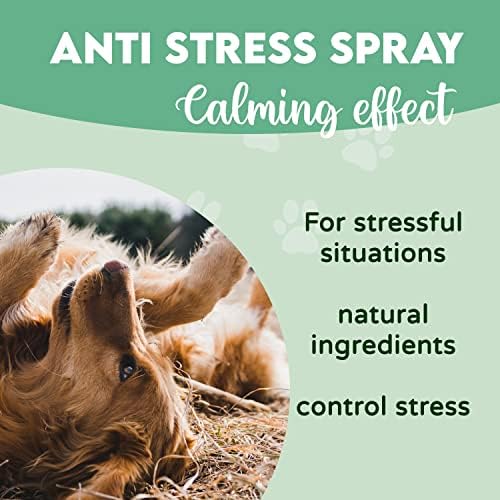 DISANE Spray Anti Estrés Calmante para Perros y Gatos Natural |150ml| Efecto tranquilizante para Perros y Gatos | Relajante Natural | Alivia el Estrés y Ansiedad 3 1710179671 471 DISANE Spray Anti Estres Calmante para Perros y Gatos Natural