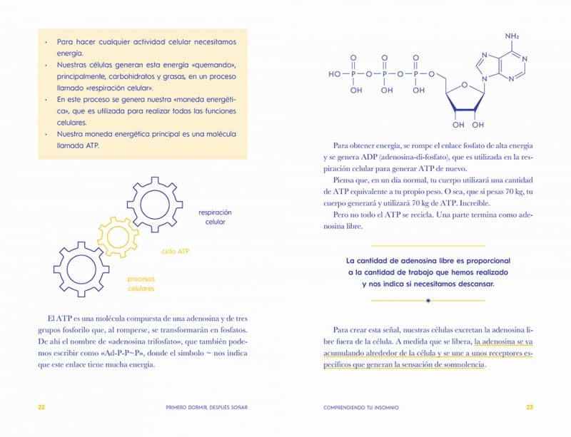 1710396223 261 Primero dormir despues sonar Un libro para comprender el insomnio