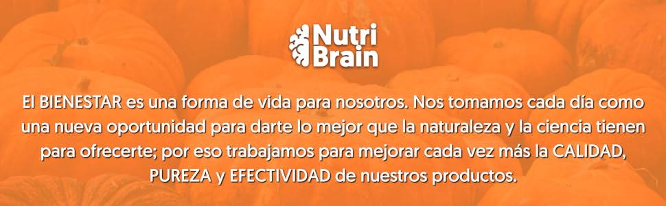 Ashwagandha Alta Potencia: Adaptógeno y Nootrópico con Sensoril® (10% Withanolidos) | Sueño Profundo, Bienestar General, Energía, Concentración | 4 Meses | 2x Más Concentrado que el KSM-66 15 lipoprotect