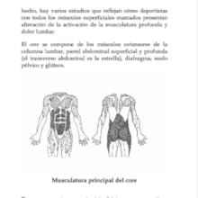 core, musculatura abdominal espalda sana