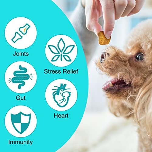 1710849357 274 XAYGHE Golosinas Calmantes para Perros Masticables Calmantes para Perros Golosinas