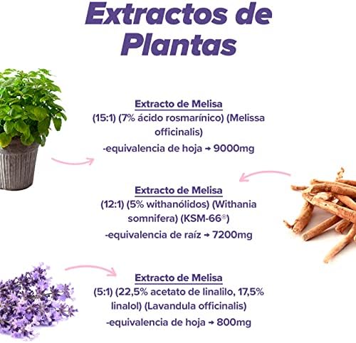 Ashwagandha Melisa Lavanda Stress Care de HSN | 120 Cápsulas Vegetales | 100% Natural Extractos Herbales y Vitaminas - Contribuyen a la Relajación* | No-GMO, Vegano, Sin Gluten 4 1711052756 270 Ashwagandha Melisa Lavanda Stress Care de HSN 120 Capsulas