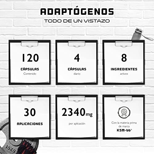Adaptogene Complex - Apoyo antiestrés y de relajación con Ashwagandha de primera calidad (KSM-66®), L-triptófano, magnesio, toronjil, ginseng, extracto de raíz de rosa, vitamina B6-120 cápsulas 2 1711264888 712 Adaptogene Complex Apoyo antiestres y de relajacion con Ashwagandha