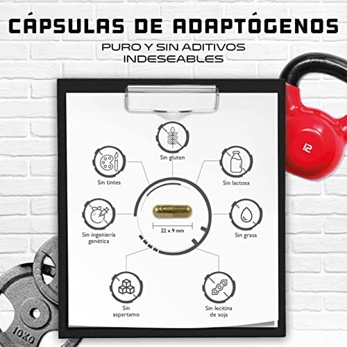 Adaptogene Complex - Apoyo antiestrés y de relajación con Ashwagandha de primera calidad (KSM-66®), L-triptófano, magnesio, toronjil, ginseng, extracto de raíz de rosa, vitamina B6-120 cápsulas 3 1711264889 734 Adaptogene Complex Apoyo antiestres y de relajacion con Ashwagandha