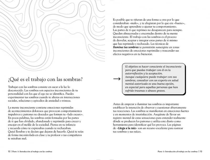 Ilumina tus sombras. El diario para aceptar y trascender tu lado oscuro (Crecimiento personal) 2 1711392157 51 Ilumina tus sombras El diario para aceptar y trascender tu