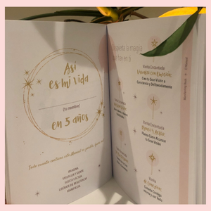 Manifesting Book- Sonia Salinas