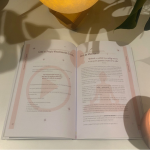 Manifesting Book- Sonia Salinas 