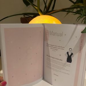 Manifesting Book- Sonia Salinas 