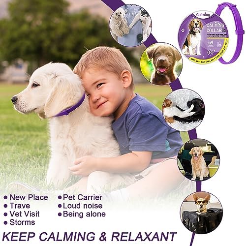 1711695245 747 kyaoayo Collar calmante para perros feromonas para perros collar calmante