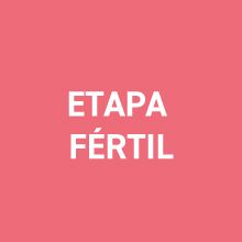 Mi método para llevar una vida saludable (Bienestar, salud y vida sana) 12 etapa fertil