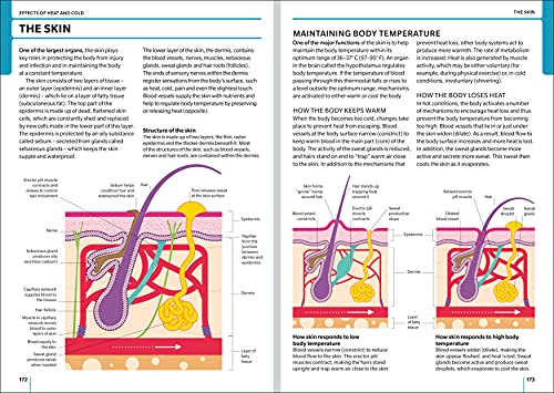First Aid Manual 11th Edition 5 1712183420 90 First Aid Manual 11th Edition