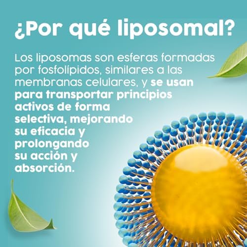 1712499318 469 Citrato de Magnesio y Bisglicinato de Magnesio capsulas con vitamina