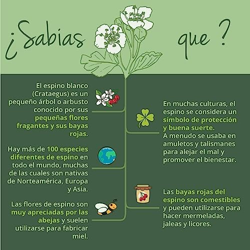 1712511444 835 Espino Blanco Organico Vegavero® 2800 mg Extracto estandarizado