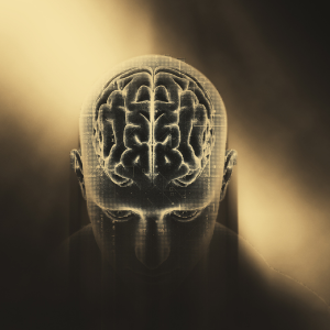 Psicología Positiva XXL: un viaje al interior de la mente humana, para dejar de pensar en exceso, gestionar los pensamientos comprender las emociones ... emocional - bono psicología oscura 9 ombre psicologia obscura tenebrosa