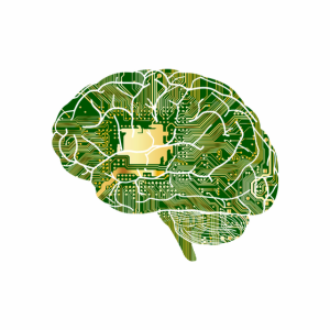 Psicología Positiva XXL: un viaje al interior de la mente humana, para dejar de pensar en exceso, gestionar los pensamientos comprender las emociones ... emocional - bono psicología oscura 7 cerebro digital positiva obscura