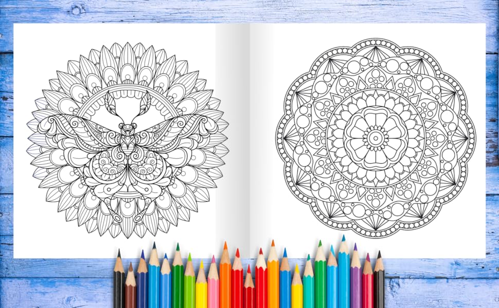 mandala aves, libro para colorear, mandalas colorear adultos, mandalas, libro colorear adultos