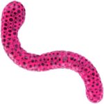 Keycraft Beadz Alive Snake | Juguete sensorial para ansiedad | Alivio del estrés | Juguete para apre...