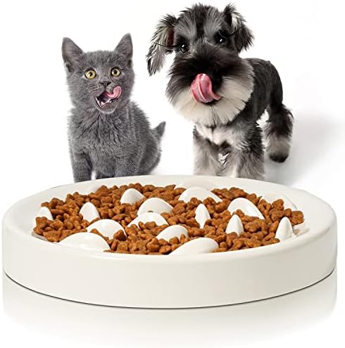 Comedero Gato Antivoracidad, Comedero Lento para Gatos y Perros, Base Antideslizante Ralentizar la Ingesta de Alimentos, Adecuado para Gatos y Perros Pequeños Comedero Gato Antivoracidad, Comedero Lento para Gatos y Perros, Base Antideslizante Ralentizar la Ingesta de Alimentos, Adecuado para Gatos y Perros Pequeños