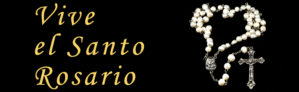 Meditando el Santo Rosario: Una guía para vivir los misterios de la fe (Vida cristiana) 3 rezar el santo rosario
